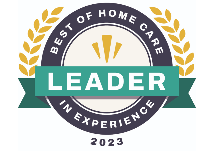Leader in Experience badge